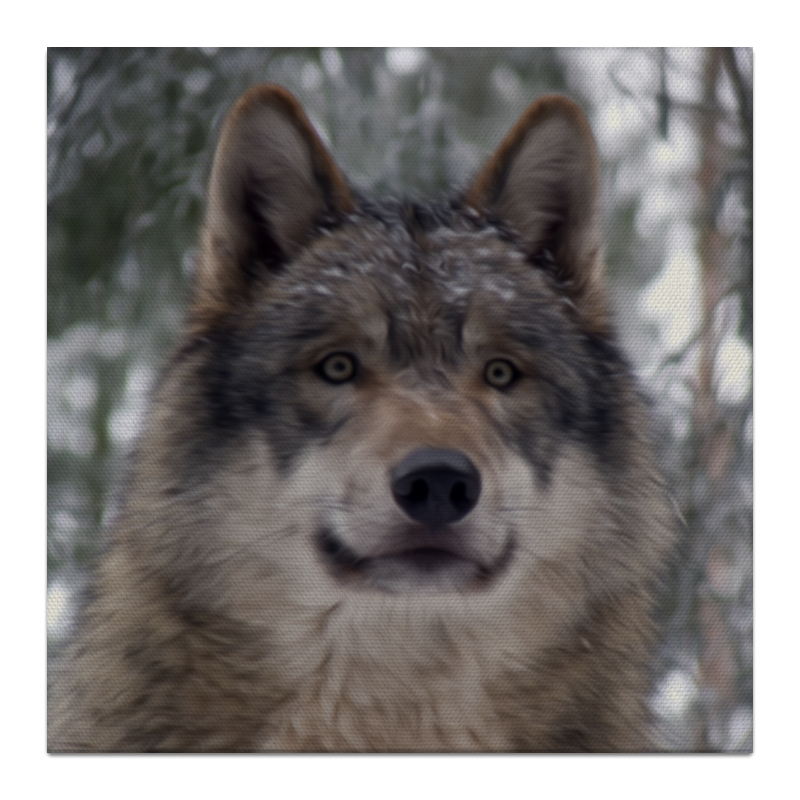 цена Printio Холст 30×30 Волк в лесу