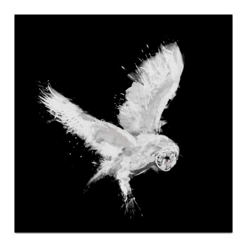 Printio Холст 30×30 Белая сова