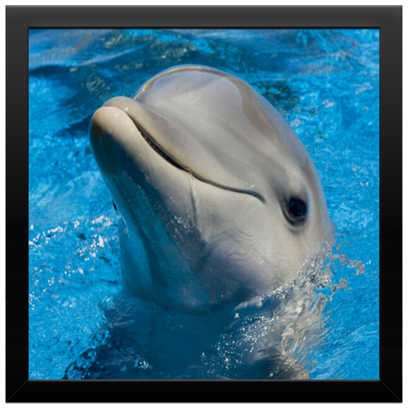 Printio Холст 30×30 Дельфин 1