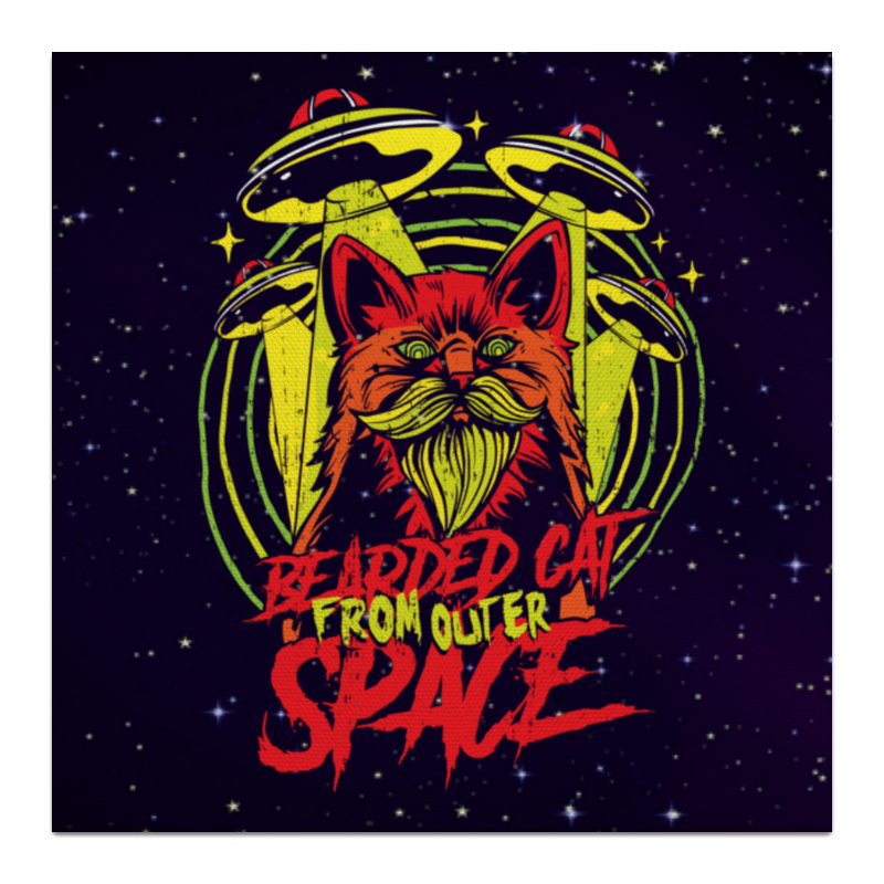 Printio Холст 30×30 Bearded cat from outer space printio футболка классическая bearded cat from outer space