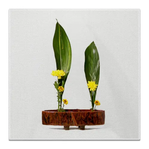 Заказать холст в Москве. Холст 30x30 Икебана / Ikebana от Ikebana - готовые дизайны и нанесение принтов.
