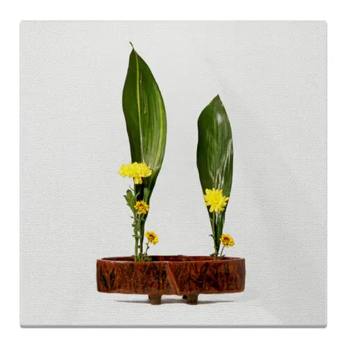 Заказать холст в Москве. Холст 30x30 Икебана / Ikebana от Ikebana - готовые дизайны и нанесение принтов.