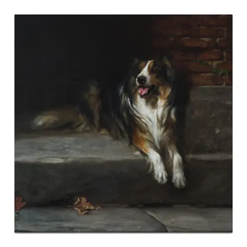 Заказать холст в Москве. Холст 30x30 Колли (картина Артура Вардля) от Apfelbaum - готовые дизайны и нанесение принтов.