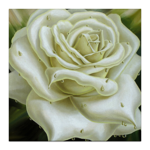 Заказать холст в Москве. Холст 30x30 Белая роза от Inna Novitskaya - готовые дизайны и нанесение принтов.