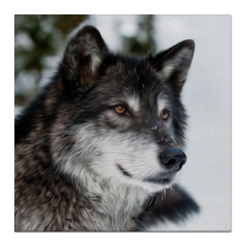 Заказать холст в Москве. Холст 30x30 Серый волк от weeert - готовые дизайны и нанесение принтов.