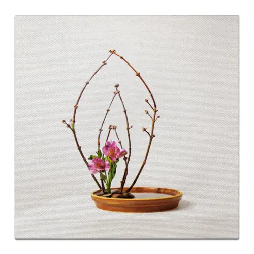 Заказать холст в Москве. Холст 30x30 Икебана / Ikebana от Ikebana - готовые дизайны и нанесение принтов.