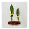 Заказать холст в Москве. Холст 30x30 Икебана / Ikebana от Ikebana - готовые дизайны и нанесение принтов.