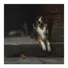 Заказать холст в Москве. Холст 30x30 Колли (картина Артура Вардля) от Apfelbaum - готовые дизайны и нанесение принтов.