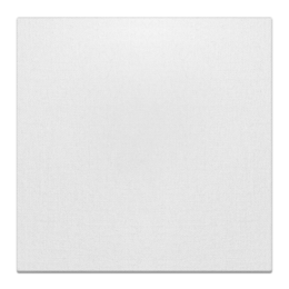 Холст 30x30