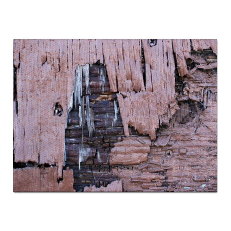 Printio Холст 30×40 деревянная