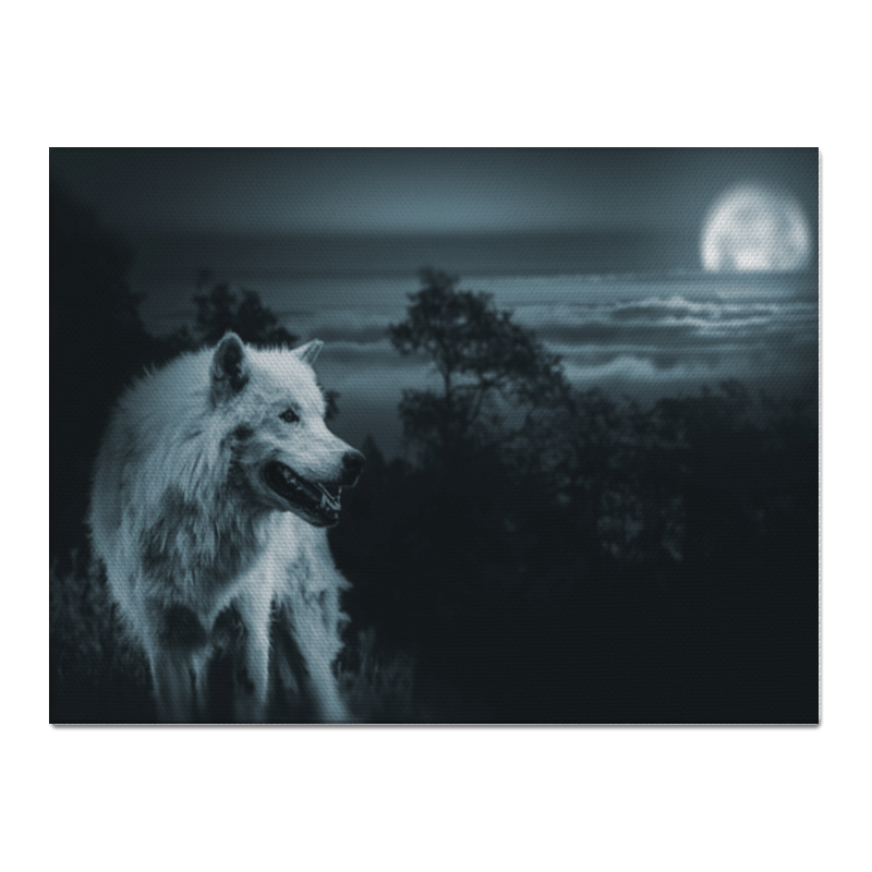 цена Printio Холст 30×40 Белый волк