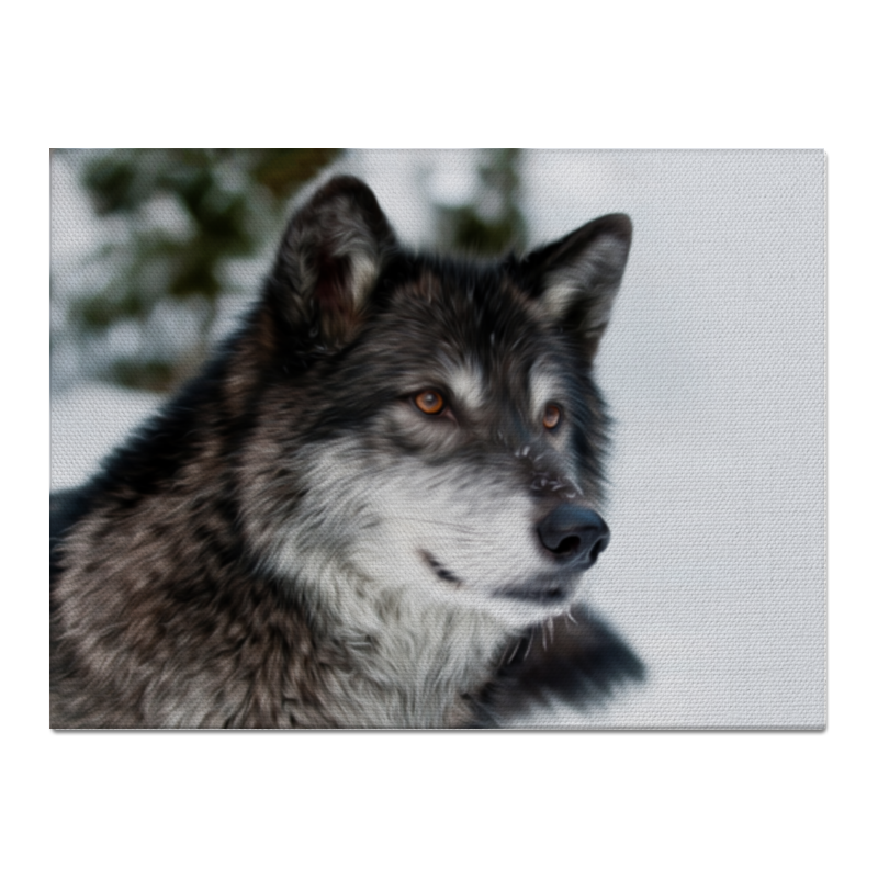 цена Printio Холст 30×40 Серый волк