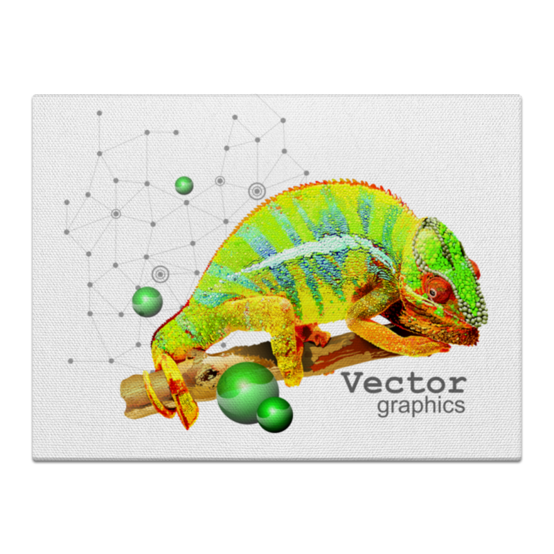 Printio Холст 30×40 Хамелеон. векторная графика.