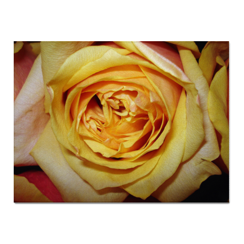 Printio Холст 30×40 Королева цветов