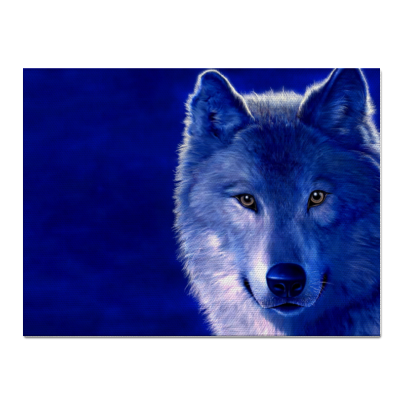 цена Printio Холст 30×40 Синий волк