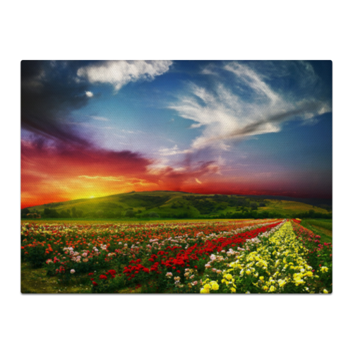 Заказать холст в Москве. Холст 30x40 Nature Flowers от Leichenwagen - готовые дизайны и нанесение принтов.