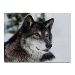 Заказать холст в Москве. Холст 30x40 Серый волк от weeert - готовые дизайны и нанесение принтов.
