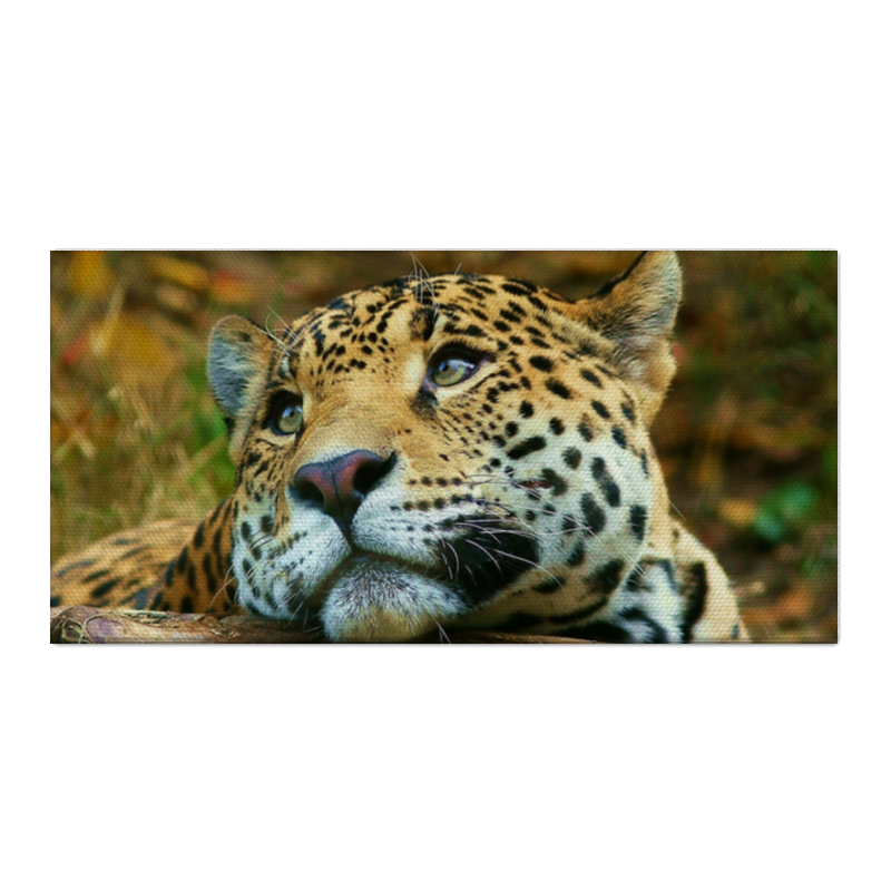 Printio Холст 30×60 Леопард