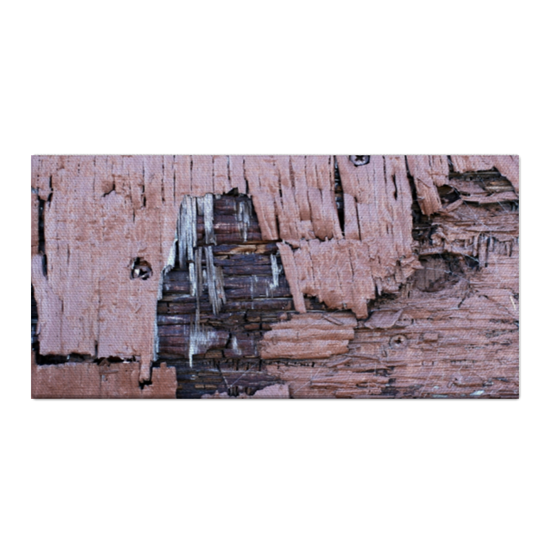 Printio Холст 30×60 деревянная