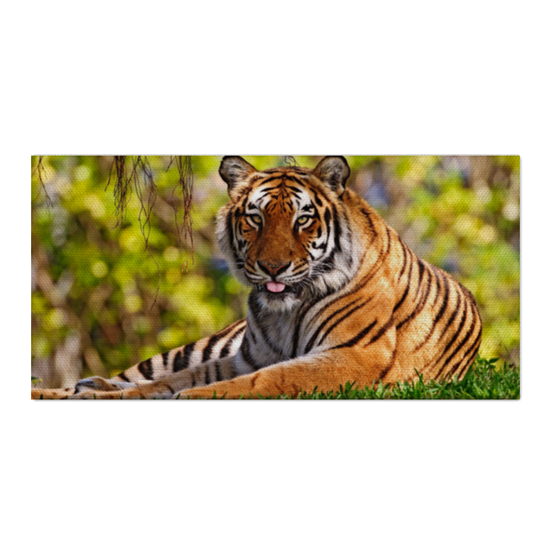 Printio Холст 30×60 Тигр на поляне фигурка животного тигр лежащий 110 см