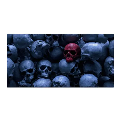 Заказать холст в Москве. Холст 30x60 Red Skull от Дана Столыпина - готовые дизайны и нанесение принтов.
