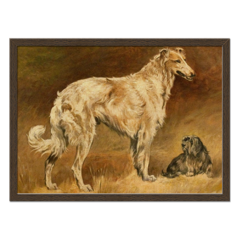 цена Printio Холст 40×55 Собаки