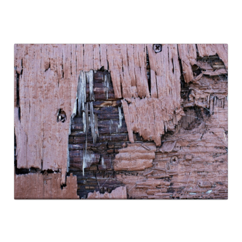 Printio Холст 40×55 деревянная