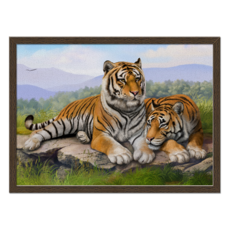 цена Printio Холст 40×55 Тигры