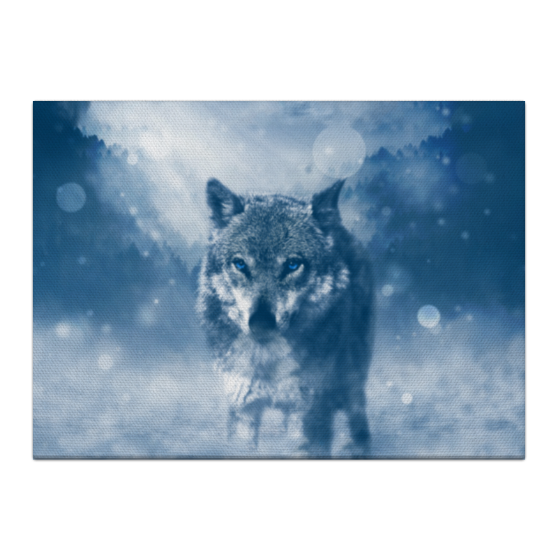 цена Printio Холст 40×55 Волк с голубыми глазами
