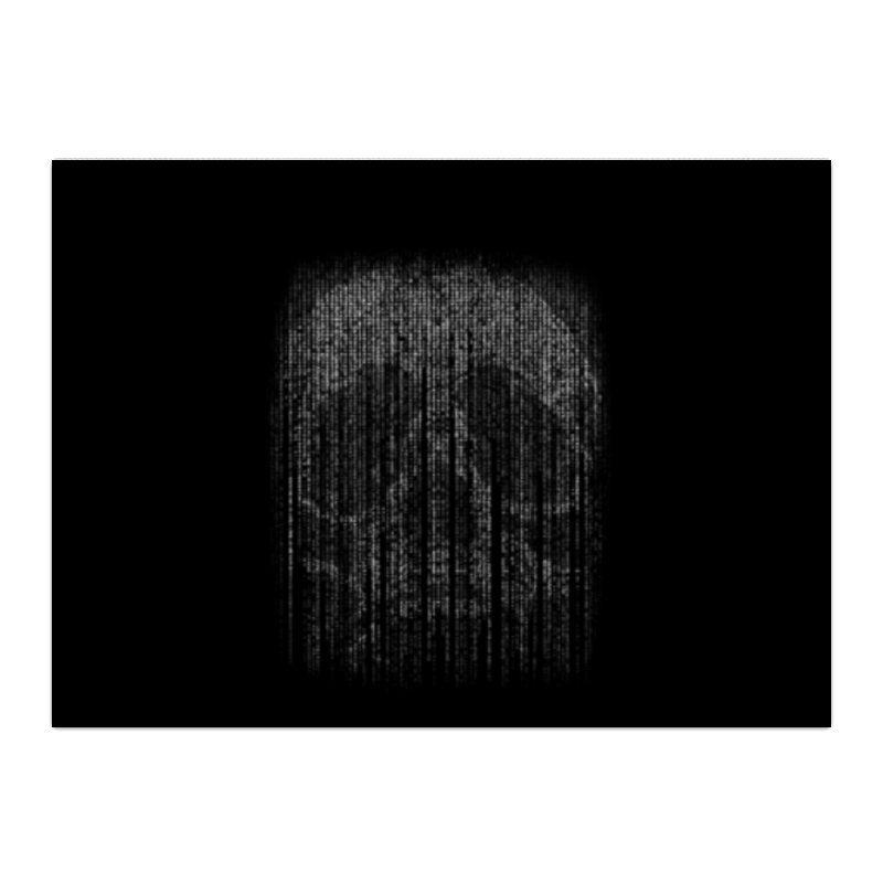 Printio Холст 40×55 Голограмма череп
