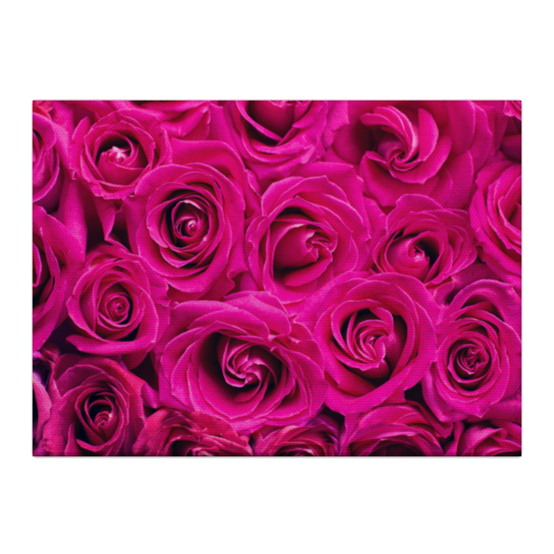 Printio Холст 40×55 Pink roses printio холст 40×55 pink roses