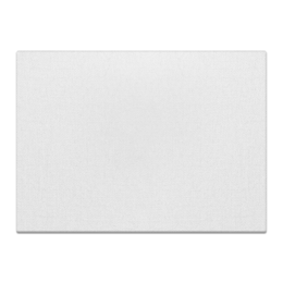 Холст 40x55