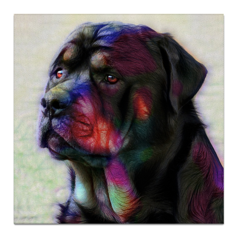Printio Холст 50×50 Ротвейлер printio холст 50×50 портрет собаки