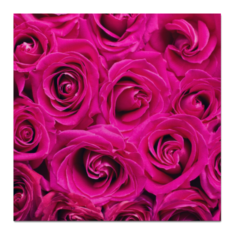 Printio Холст 50×50 Pink roses printio холст 40×55 pink roses