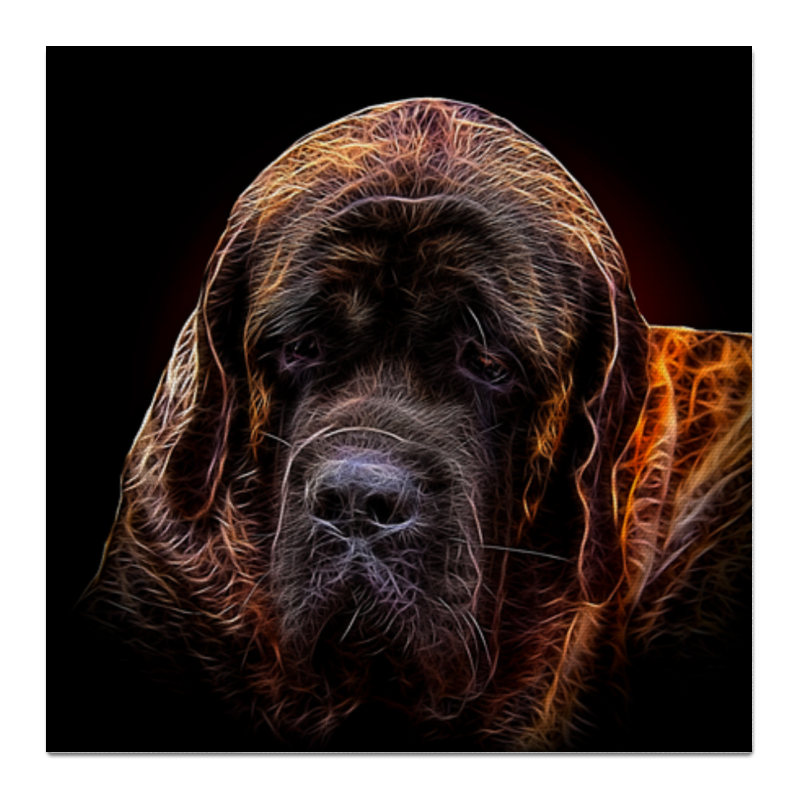 Printio Холст 50×50 Неаполитанский мастиф printio холст 50×50 портрет собаки