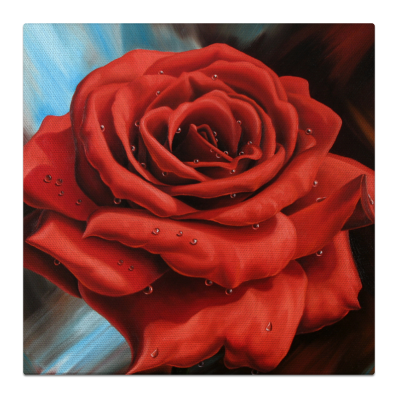 Printio Холст 50×50 Красная роза 
