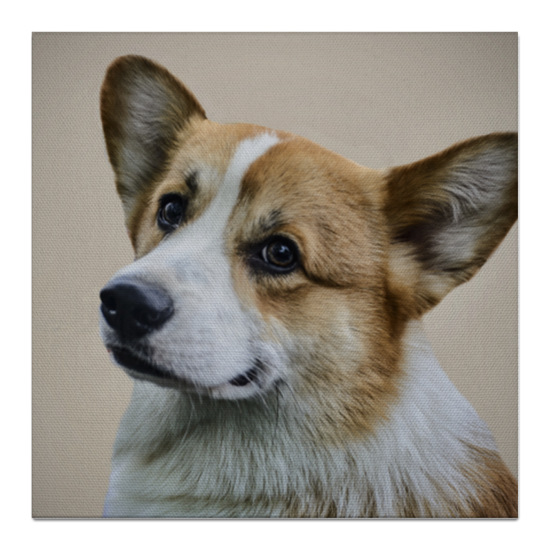 Printio Холст 50×50 Вельш корги пемброк printio холст 50×50 портрет собаки