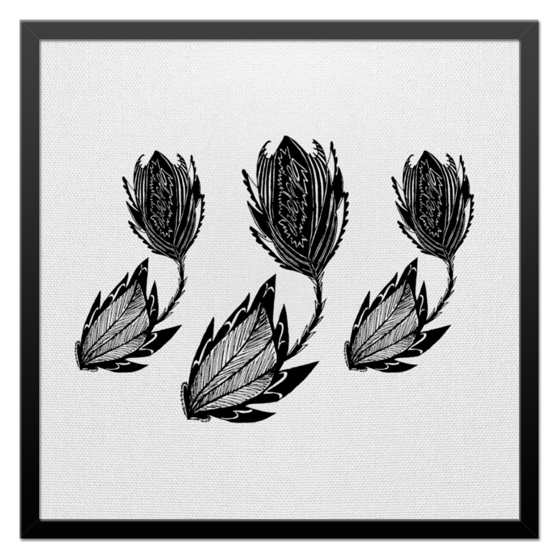 Printio Холст 50×50 Черные цветы printio холст 50×75 фантастические цветы