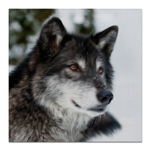 Заказать холст в Москве. Холст 50x50 Серый волк от weeert - готовые дизайны и нанесение принтов.