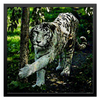 Заказать холст в Москве. Холст 50x50 Белый тигр от Setoru Hosino - готовые дизайны и нанесение принтов.