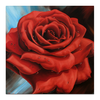 Заказать холст в Москве. Холст 50x50 Красная роза от Inna Novitskaya - готовые дизайны и нанесение принтов.