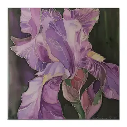 Холст 50x50
