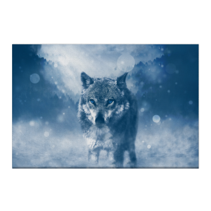 Printio Холст 50×75 Волк с голубыми глазами