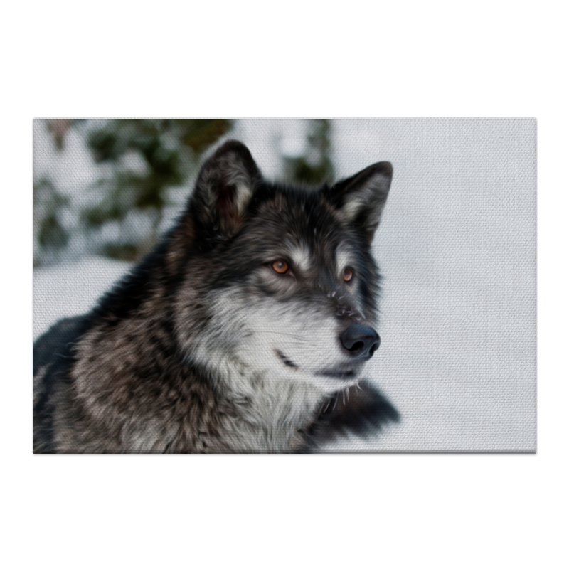 цена Printio Холст 50×75 Серый волк