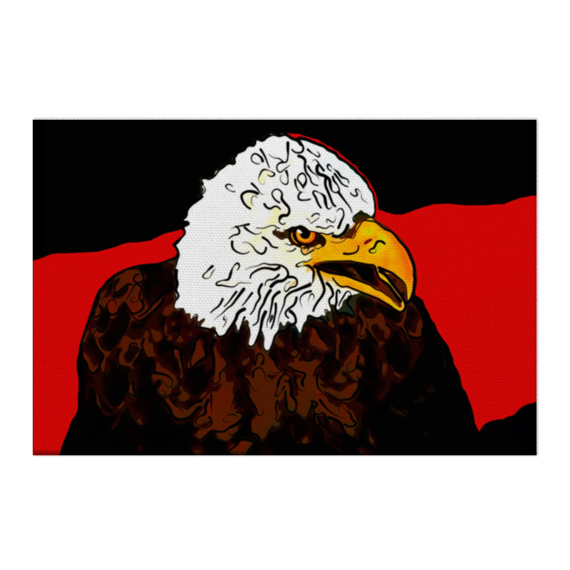 Printio Холст 50×75 Белоголовый орлан фигурка mojo woodland белоголовый американский орлан 387027 5 см