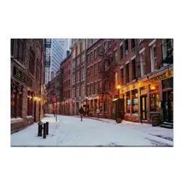 Заказать холст в Москве. Холст 50x75 Зима в New York от 100pari - готовые дизайны и нанесение принтов.