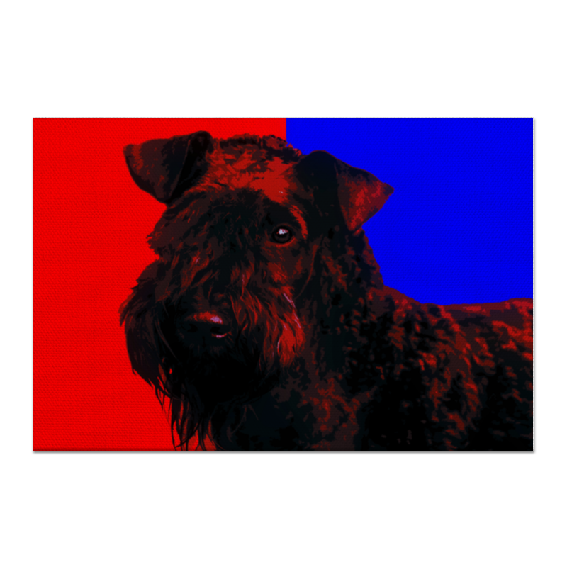 Printio Холст 60×90 Керри-блю-терьер статуэтка собака керри блю терьер породистая гжель