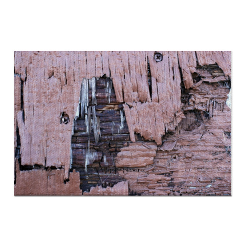 Printio Холст 60×90 деревянная