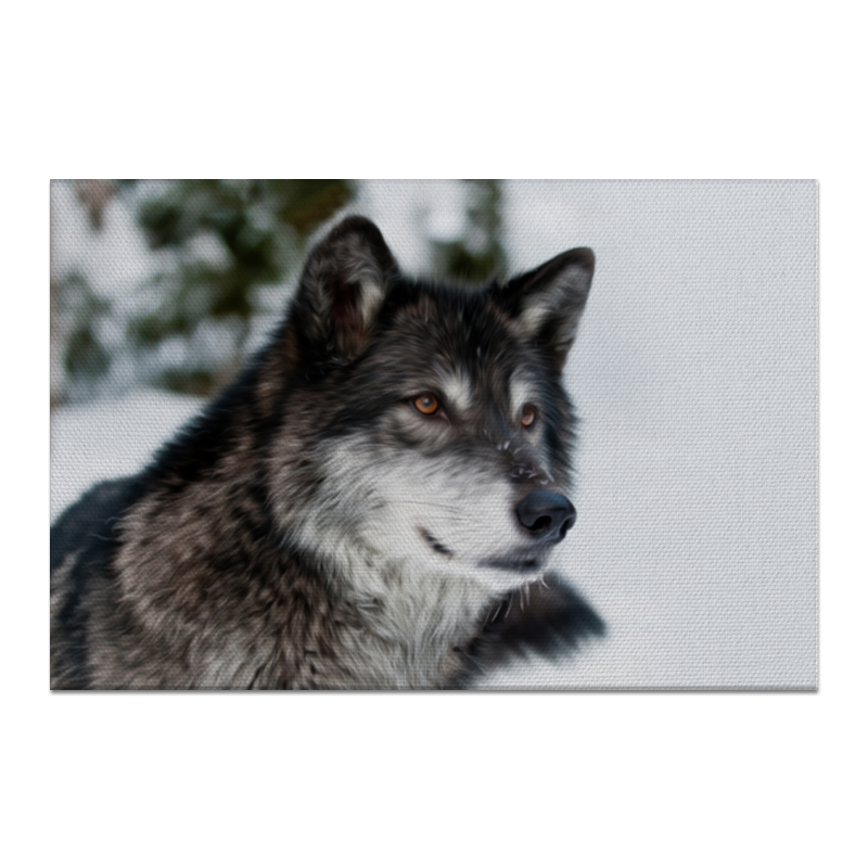 цена Printio Холст 60×90 Серый волк