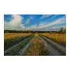 Заказать холст в Москве. Холст 60x90 Прогулка по у леса от Vadim Koval - готовые дизайны и нанесение принтов.